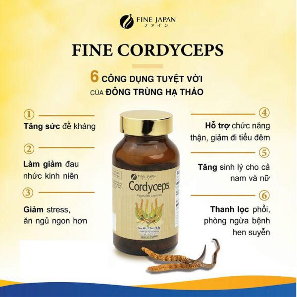 Fine Cordyceps Đông Trùng Hạ Thảo