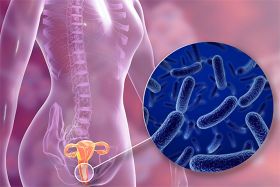 5 Tác Dụng Của Probiotic Cho Phụ Nữ, Bổ Sung Sao Cho Hiệu Quả?